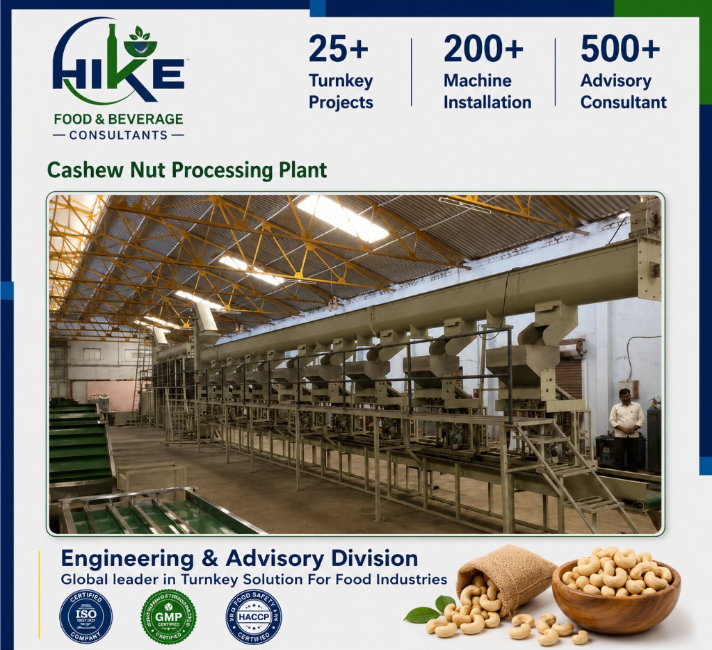Cashew Nut Processing Plant