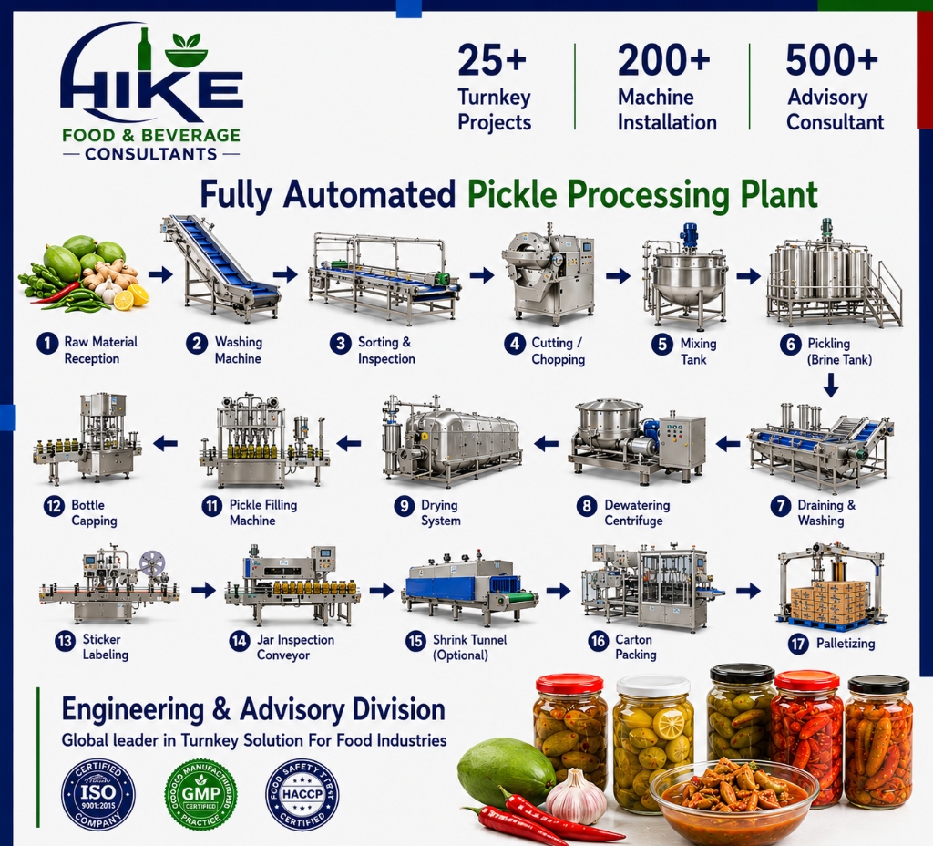 Fully Automated Pickle Processing Plant